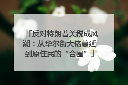 反对特朗普关税成风潮：从华尔街大佬蔓延到原住民的“合围”