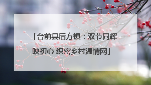 台前县后方镇：双节同辉映初心 织密乡村温情网