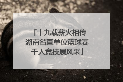 十九载薪火相传 湖南省直单位篮球赛千人竞技展风采