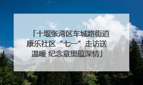 十堰张湾区车城路街道康乐社区“七一”走访送温暖 纪念章里蕴深情
