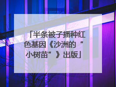 半条被子播种红色基因《沙洲的“小树苗”》出版