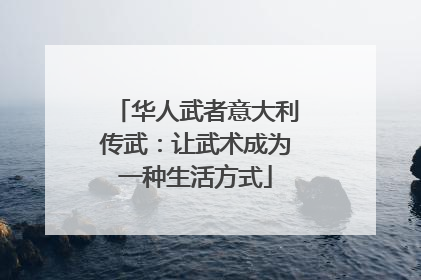 华人武者意大利传武：让武术成为一种生活方式