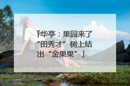 华亭：果园来了“田秀才”树上结出“金果果”