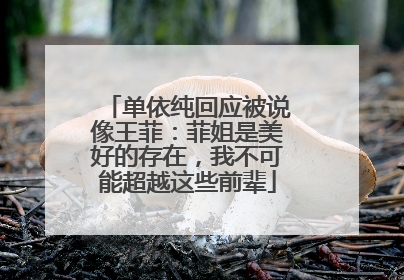 单依纯回应被说像王菲：菲姐是美好的存在，我不可能超越这些前辈