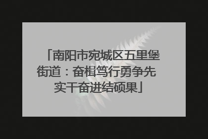 南阳市宛城区五里堡街道：奋楫笃行勇争先 实干奋进结硕果