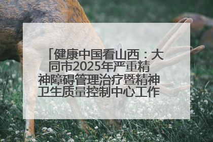健康中国看山西：大同市2025年严重精神障碍管理治疗暨精神卫生质量控制中心工作培训班开班
