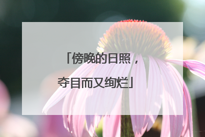 傍晚的日照，夺目而又绚烂