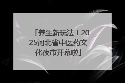 养生新玩法！2025河北省中医药文化夜市开幕啦