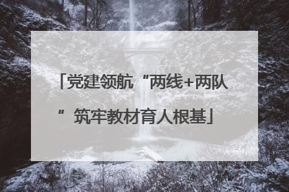 党建领航“两线+两队”筑牢教材育人根基
