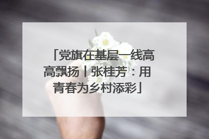 党旗在基层一线高高飘扬丨张桂芳：用青春为乡村添彩