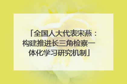 全国人大代表宋燕：构建推进长三角检察一体化学习研究机制