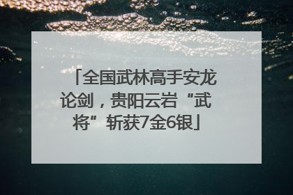 全国武林高手安龙论剑，贵阳云岩“武将”斩获7金6银