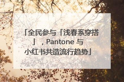 全民参与「浅春系穿搭」，Pantone 与小红书共造流行趋势