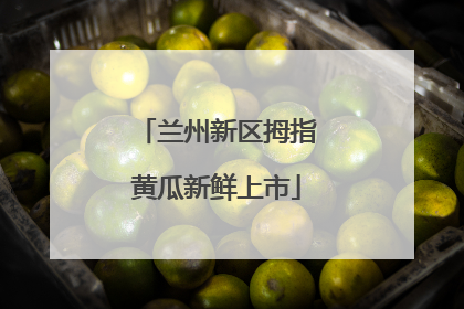 兰州新区拇指黄瓜新鲜上市