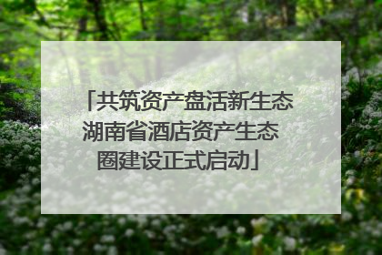 共筑资产盘活新生态 湖南省酒店资产生态圈建设正式启动