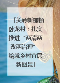 关岭新铺镇卧龙村：扎实推进“两清两改两治理” 绘就乡村宜居新图景