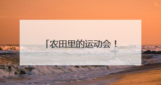 农田里的运动会！燃动乡村新活力