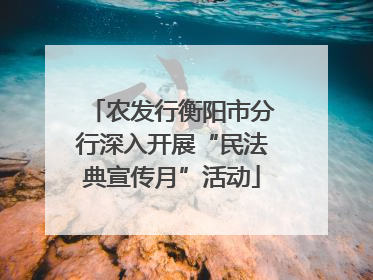 农发行衡阳市分行深入开展“民法典宣传月”活动