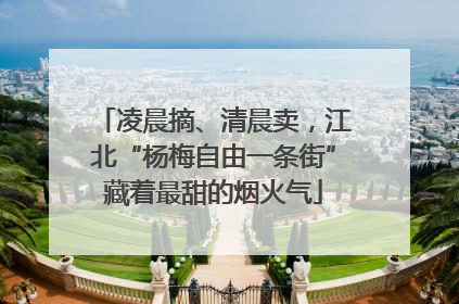 凌晨摘、清晨卖，江北“杨梅自由一条街”藏着最甜的烟火气