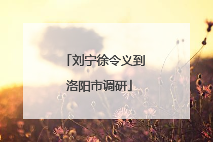 刘宁徐令义到洛阳市调研