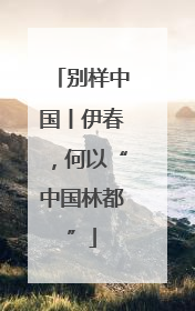 别样中国丨伊春，何以“中国林都”
