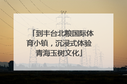 到丰台北粮国际体育小镇，沉浸式体验青海玉树文化
