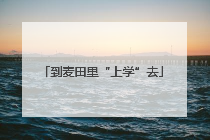 到麦田里“上学”去