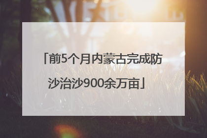 前5个月内蒙古完成防沙治沙900余万亩