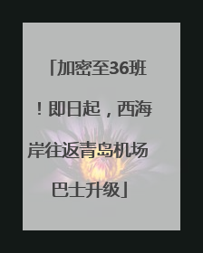 加密至36班！即日起，西海岸往返青岛机场巴士升级
