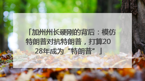 加州州长硬刚的背后：模仿特朗普对抗特朗普，打算2028年成为“特朗普”