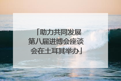 助力共同发展 第八届进博会座谈会在土耳其举办