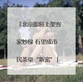 北京即将上架客家炒绿 有望成市民茶桌“新宠”