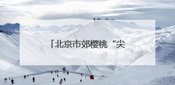 北京市郊樱桃“尖货”登录“北苑路88号”农产品市集
