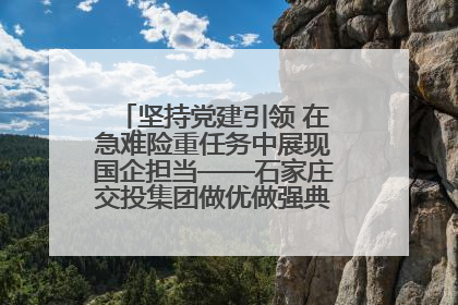 坚持党建引领 在急难险重任务中展现国企担当——石家庄交投集团做优做强典型报道之一