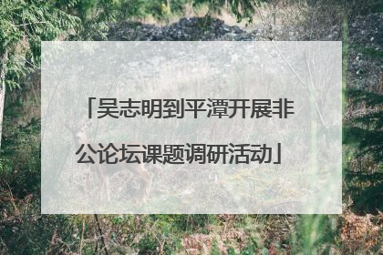 吴志明到平潭开展非公论坛课题调研活动