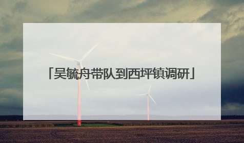 吴毓舟带队到西坪镇调研