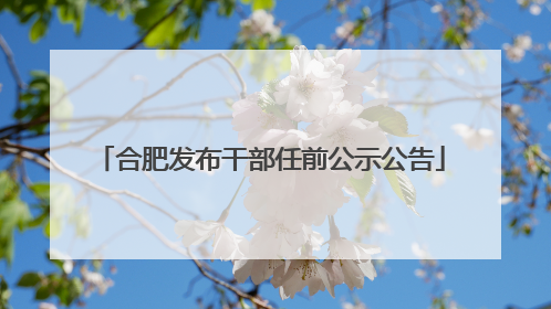 合肥发布干部任前公示公告