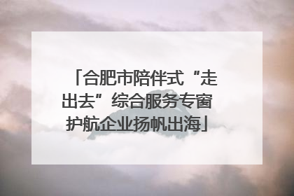 合肥市陪伴式“走出去”综合服务专窗护航企业扬帆出海