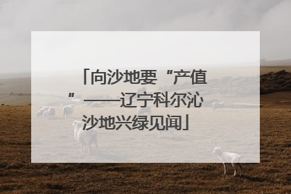 向沙地要“产值”——辽宁科尔沁沙地兴绿见闻