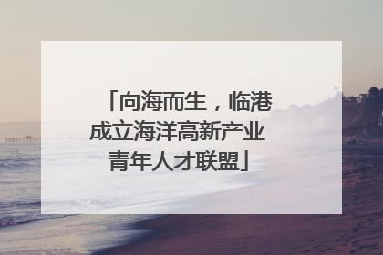 向海而生，临港成立海洋高新产业青年人才联盟