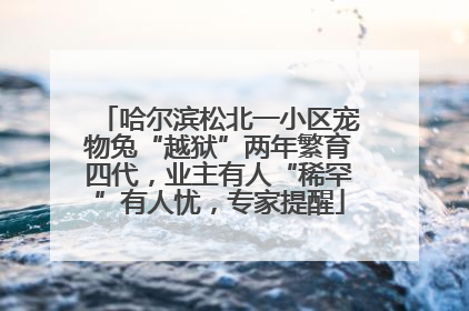 哈尔滨松北一小区宠物兔“越狱”两年繁育四代，业主有人“稀罕”有人忧，专家提醒