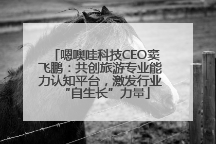 嗯噢哇科技CEO窦飞鹏：共创旅游专业能力认知平台，激发行业“自生长”力量
