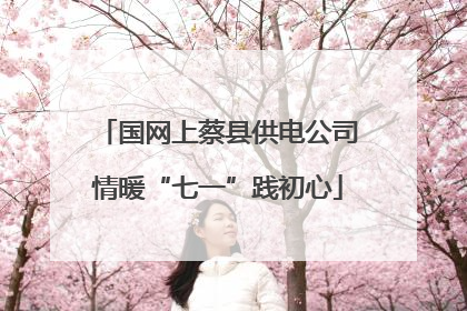 国网上蔡县供电公司情暖“七一”践初心