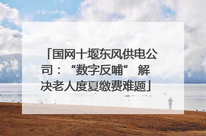 国网十堰东风供电公司：“数字反哺” 解决老人度夏缴费难题
