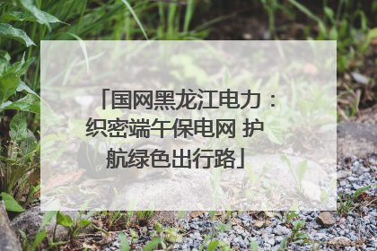 国网黑龙江电力：织密端午保电网 护航绿色出行路