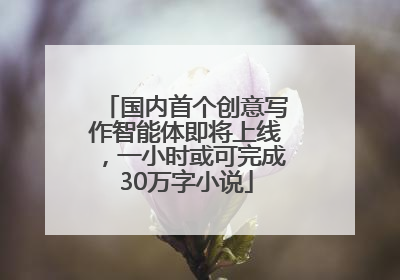 国内首个创意写作智能体即将上线，一小时或可完成30万字小说