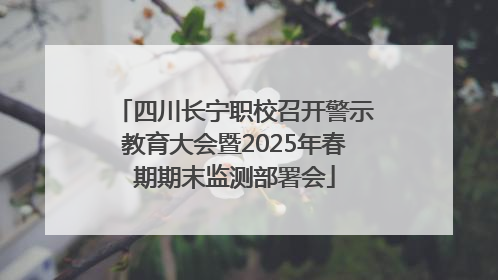 四川长宁职校召开警示教育大会暨2025年春期期末监测部署会