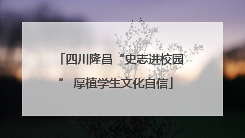 四川隆昌“史志进校园” 厚植学生文化自信