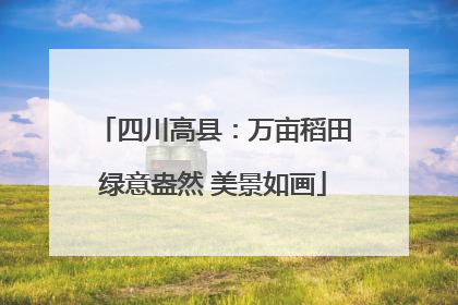 四川高县：万亩稻田绿意盎然 美景如画