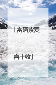 富硒紫麦喜丰收